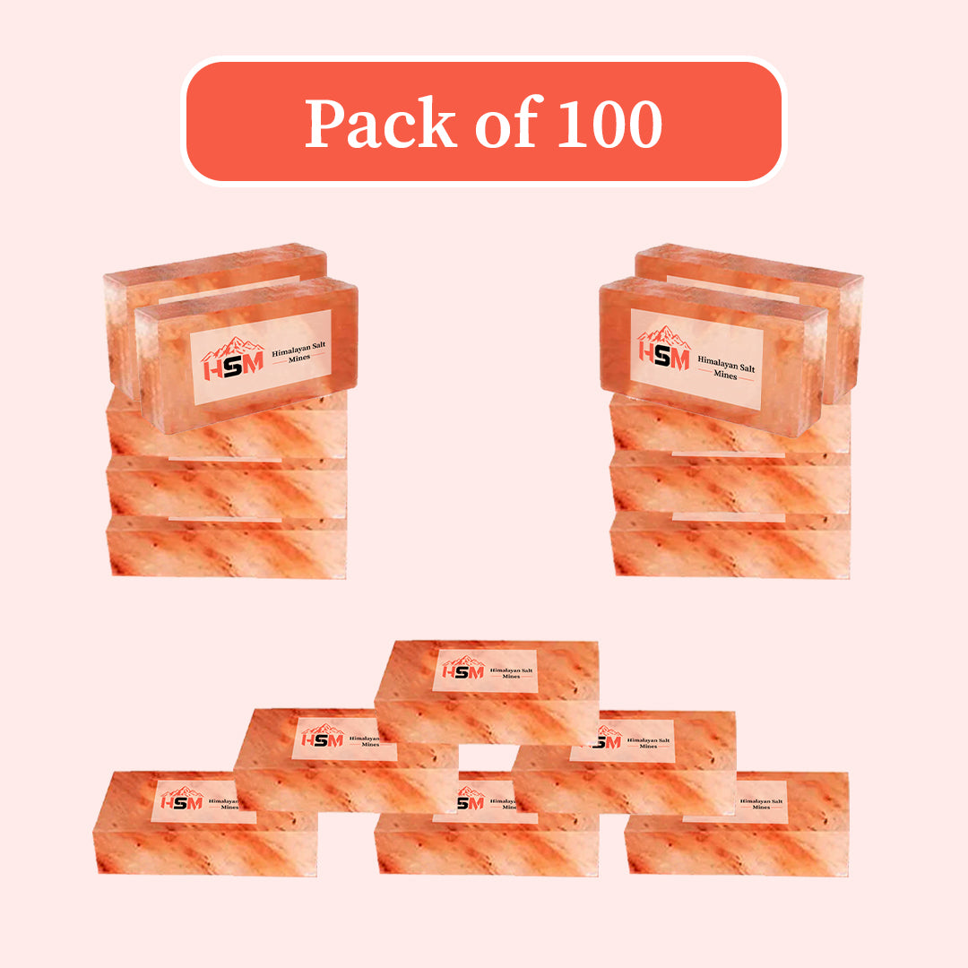 Himalayan salt bricks for a salt wall, pack of 100, 8x4x2 inches